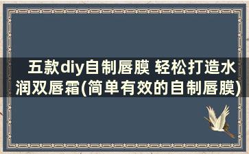 五款diy自制唇膜 轻松打造水润双唇霜(简单有效的自制唇膜)